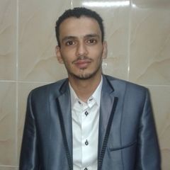 Mostafa elhaw, محامي حر