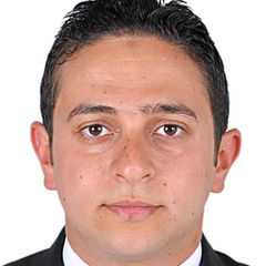 Ahmed Shehata, Financial Controller 
