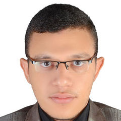 Mohamed Soltan AbdAlmonam Alsaed Allam, IT Manger