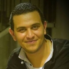 Mahmoud Fekry, IT Administrator