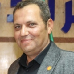 hussein abdelbary