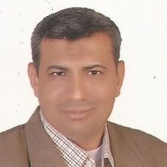 Mohamed badawi, محاسب قانونى وخبير نظم مالية وضريبية وزكوية