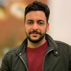 أحمد محمد رشاد, auditor accountant
