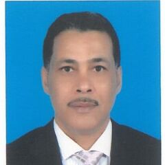 Ayman Abd El-Moniem Mohamed Ramadan Al-Naggar, MEP Project Manager