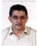Hamid Bin Ahmad Alkaff, Licenced Electrical Worker