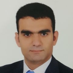 عصام صقر, Experienced HCM Consultant