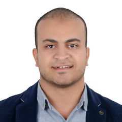 عمر علوان, Project Control Engineer