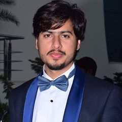Zaman Ali, Accountant