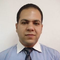 Mohamed Taher, Sales Data Analyst