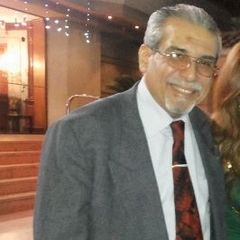 Bassel El Baroudy, Owner