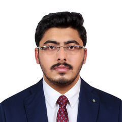 Deepak Murali, Stock Auditor