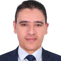 Mohamed Lotfy