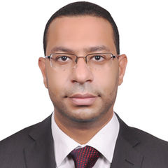 Ramy Ibrahim, Regional Manager l Head of Finance