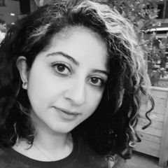 RANA ABUSIDU, information security consultant