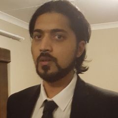 Ameer Baig, Business Analyst