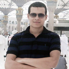Sherif Ahmed  El-Sabbahy, Project Architect