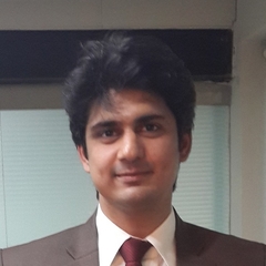 Haseeb Afridi, Financial Analyst