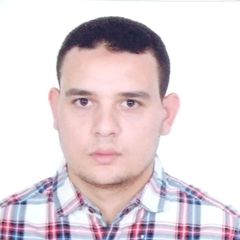 Mohammed Hosny  Elshanawany, Senior Asp.Net Developer