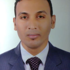 عمرو أحمد محمود محمد, Income Auditor