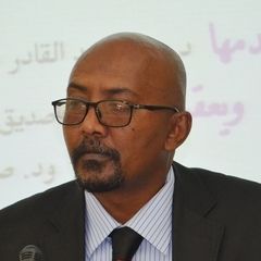 حاتم عبدالقادر, مساعد المدير العام