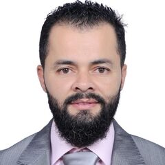 Marwan Abu Hammam, MEP Project Manager