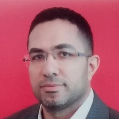 Ahmed Mahmoud Mostafa Seada, Senior Internal Auditor 