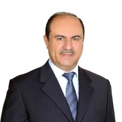 فتحي المغربي, Strategist and Enterprise Architect Consultant