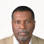 Mohamed Musa Younis Abdalla, General Projects Directorate