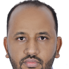 Mohamedlamine Ami, مراسل في ابوظبي 
