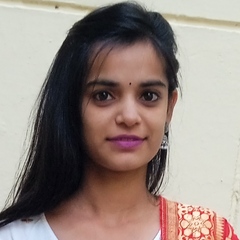 Bhumi Sarathe, Information Technology Manager