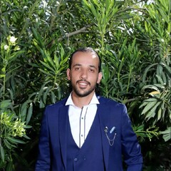 Hussein Shouman, Sales Manager