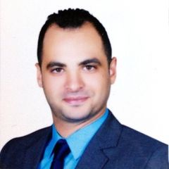 احمد عبد الحميد, Export Area Sales Manager
