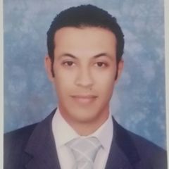 Tarek Mohamed, accounting manager