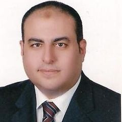 Walid Gamil Ismail, Director – PMO & Strategy and Operation