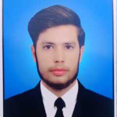 Talha Gillani, Data Entry Operator