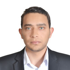 Almamoon Ziad Mohammad Almashaqba, Project Manager (Consultant) 