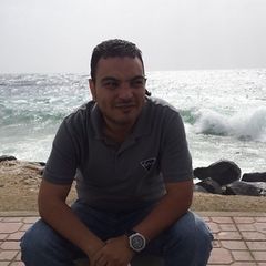 hany atia farag, منسق مشاريع