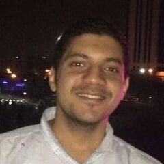 أحمد هشام, Senior Functional Consultant