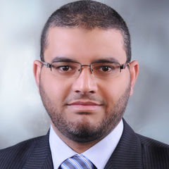 محمود عمران, Finance Manager