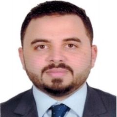 محمد مجدي, Accounts Expert