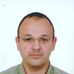 Sherif Sabri, consultant