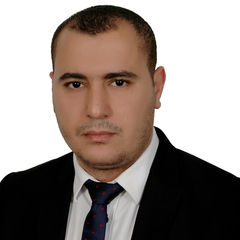 Mohamed Omar Draz, Chief Accountant