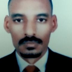 Ahmed Elmustafa Alzobair, تقنية معلومات