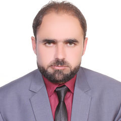 Mushahid Hussain, Sales Executive 