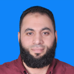 Ahmed Nazieh Abdeltwab Abdallah, Project Development Assistant Manager