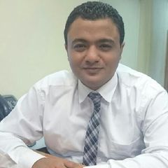 mohammed morsy