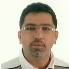Mohamad Ali Farhat, Project Manager