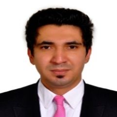 Maiwand Ludin