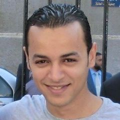 Mostafa Mahmoud Abdelmohsen Ibrahim