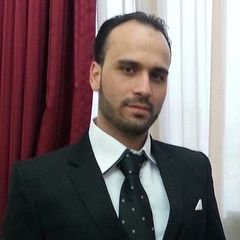 Mohannad Dibi, Sales Executive